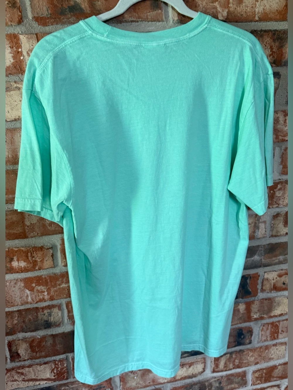 Comfort Colors Mint Green Short Sleeve Tee with Flaming Leopard Graphic - Picture 3 of 6